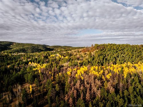 1342 Old Crystola Canyon Rd, Woodland Park, CO, 80863-9110 | Card Image