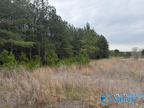 90 County Road 153, Fort Payne, AL, 35967 | Card Image