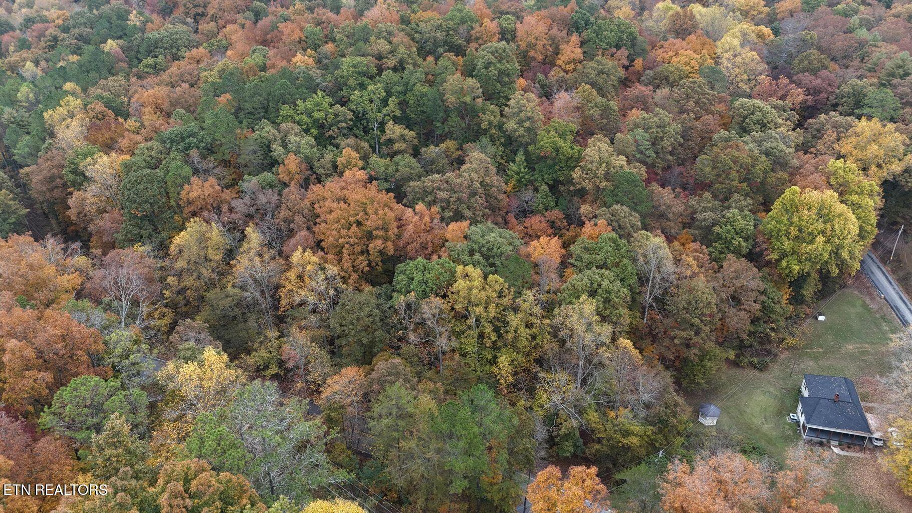 Land in Georgetown 3