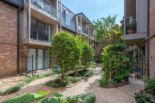 apt-220-2400 N Braeswood Blvd, Houston, TX, 77030-4347 | Card Image