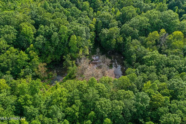 DJI_0253 | Image 31