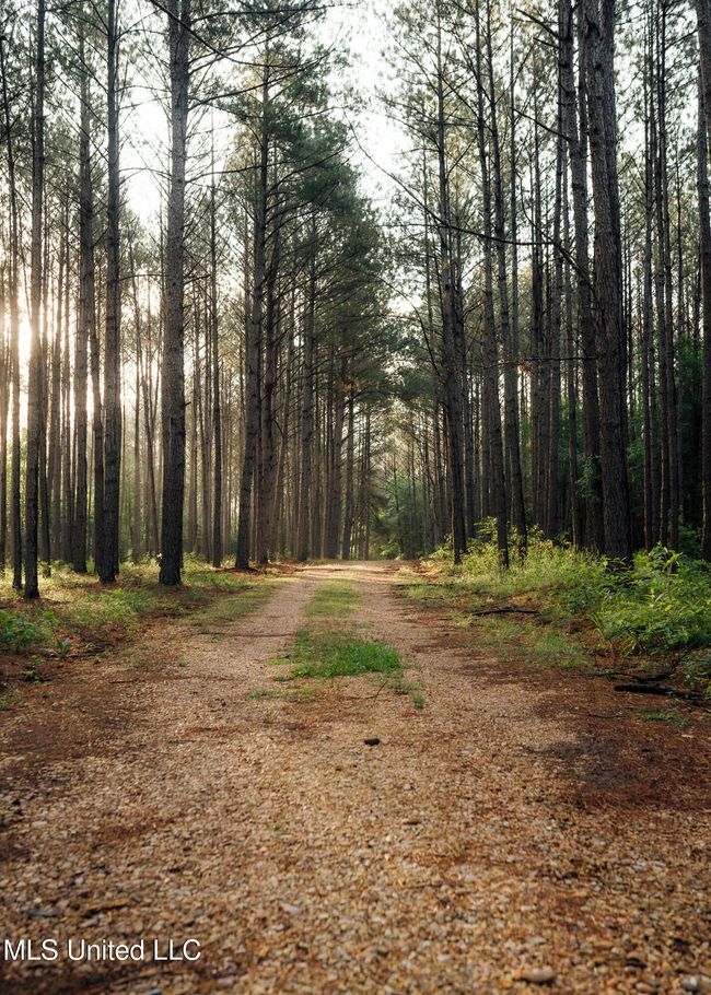 JG Puckett Cabin Pics-3 | Image 13