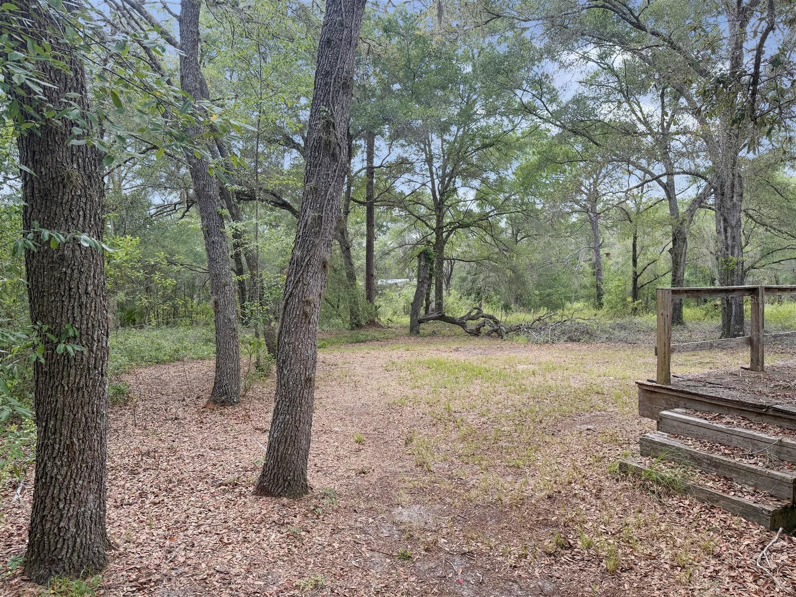 Residential in DUNNELLON 4