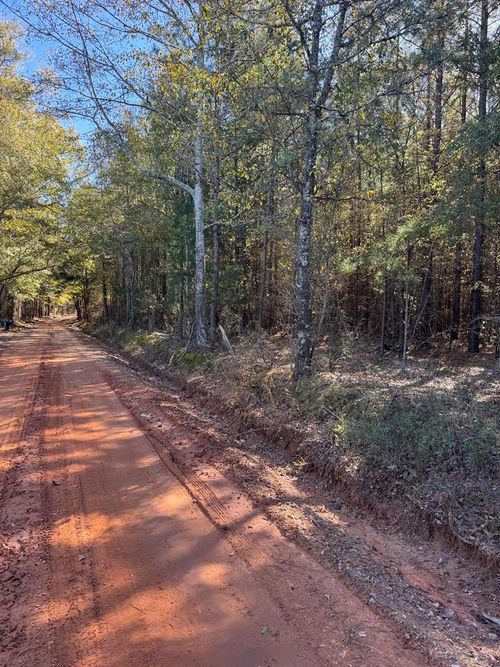 000 Jones Bridge Rd, Sparta, GA, 31087 | Card Image