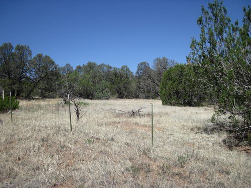 152 Jesse James Rd, Edgewood, NM, 87015-8118 | Card Image