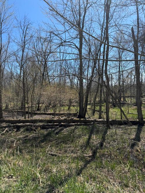 VL 55th St, Grand Junction, MI, 49056 | Card Image