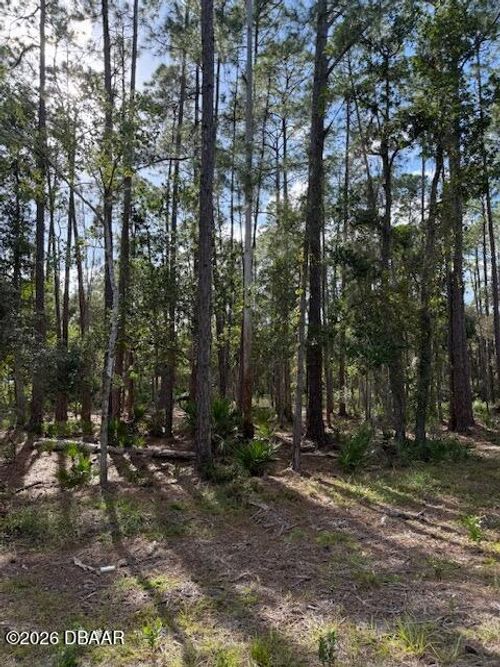 207 Ocala Ct, Georgetown, FL, 32139-3143 | Card Image