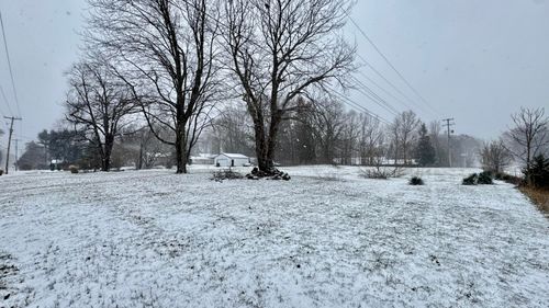 6593 134th Ave, Saugatuck, MI, 49453-9657 | Card Image