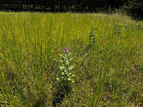 TBD E Broadway Ave, Oden, AR, 71961 | Card Image