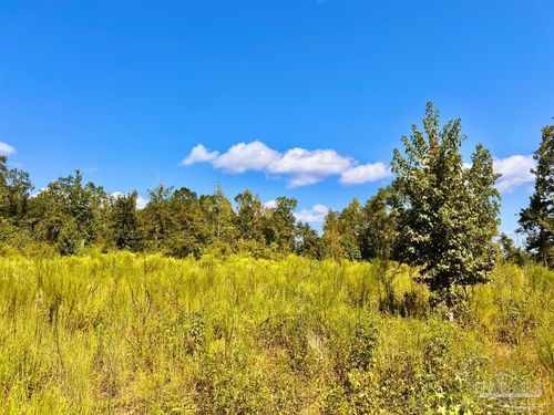 Lot 6C Cotton Lake Rd, Molino, FL, 32577 | Card Image