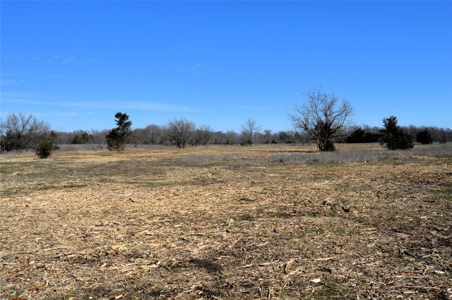 Cleared and ready for animals or planting. | Image 34