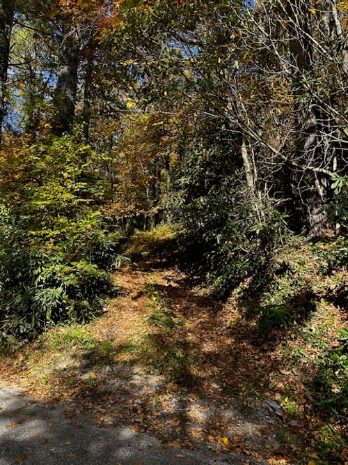 TBD Foreman Rd, Highlands, NC, 28741 | Card Image