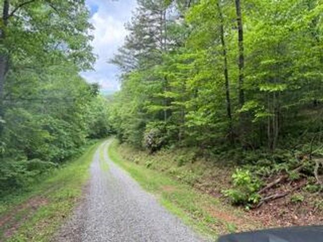 00 Woodsong Haven Ln, Home with 0 bedrooms, 0 bathrooms and null parking in Turtletown TN | Image 12